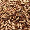 .22 Cal .224 55gr FMJ