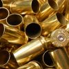 .40 SW Brass Cases Fully Processed