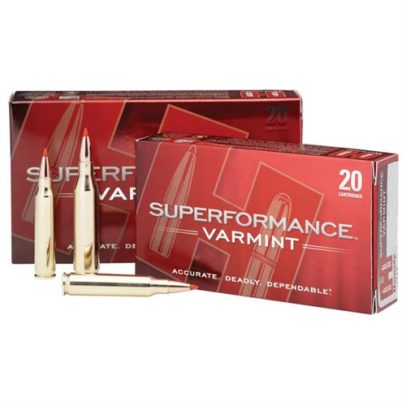 Hornady Superformance Varmint 243 Win 75gr V-MAX 20/bx