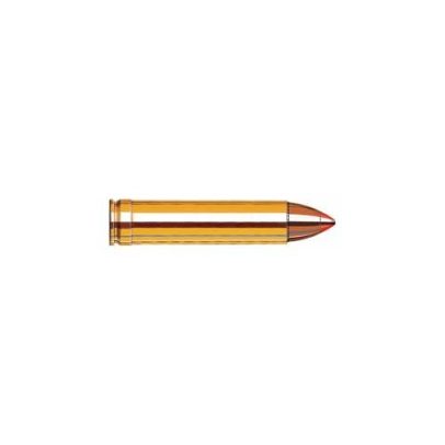 Hornady AMMO 450 MARLIN 325 GR FTXLVREV