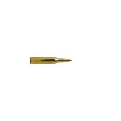 Winchester Ammo 243 Winchester 100gr P SX PowerPt