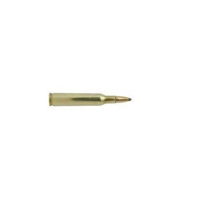 Winchester Ammo 6MM 100gr PP SX PowerPt