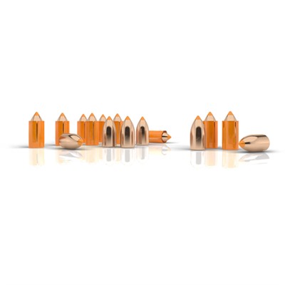 Nosler Ballistic Tip Muzzleloader Bullet 50cal 300gr 15/bx