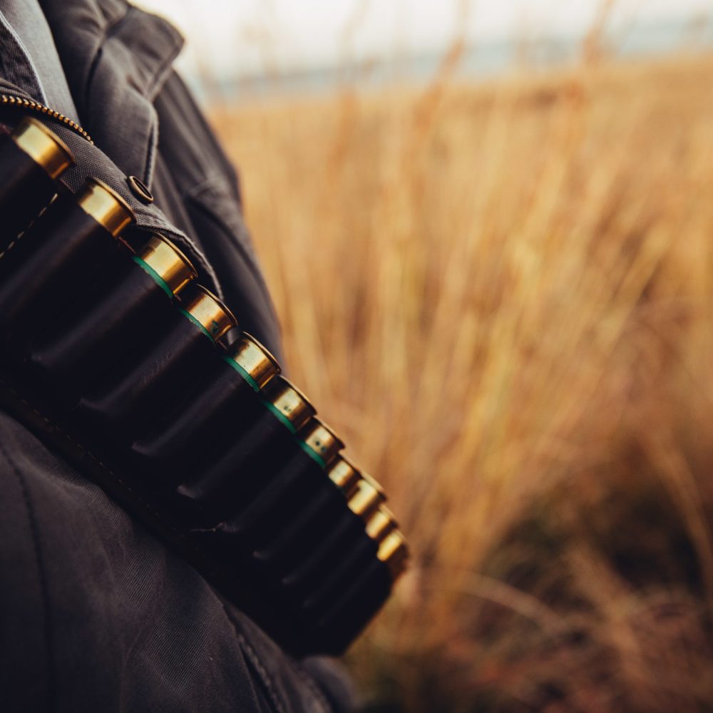 Close-Up of cartridge with golden bullets and copy space in grassland